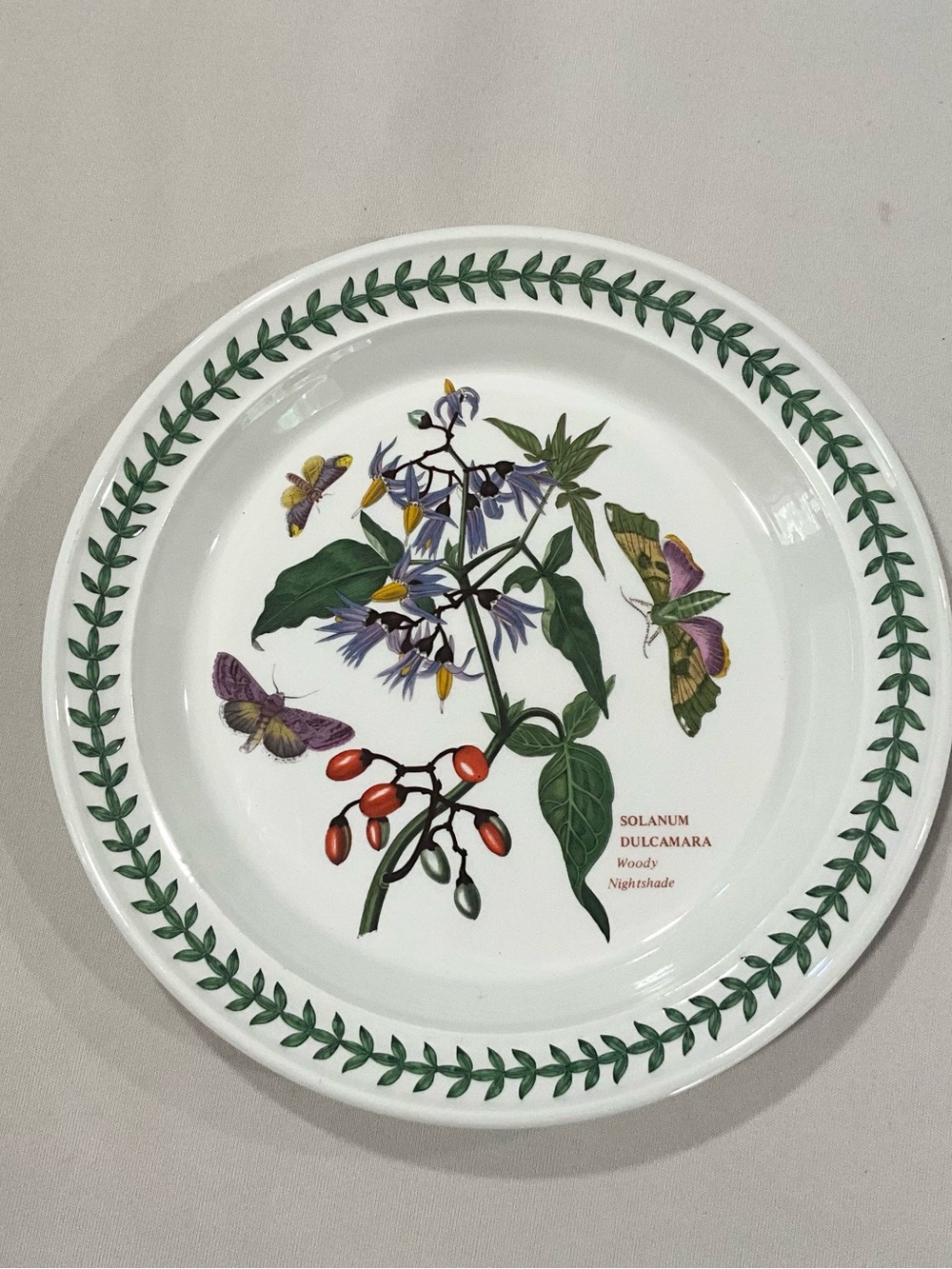 Portmeirion Solanum Dulcamara Botanical Salad plate 8.5